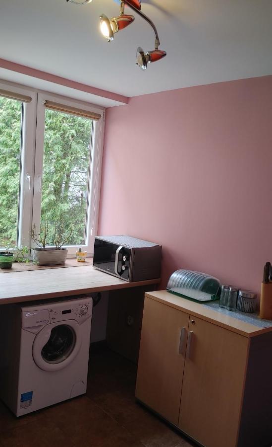 Suwałki Hostel U Misiow מראה חיצוני תמונה